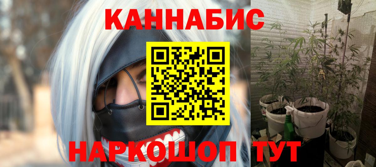 Канабис индика  Вход с VPN  Бошки марихуана тримм  Бошки Шишки SATIVA & INDICA  Елизово 
