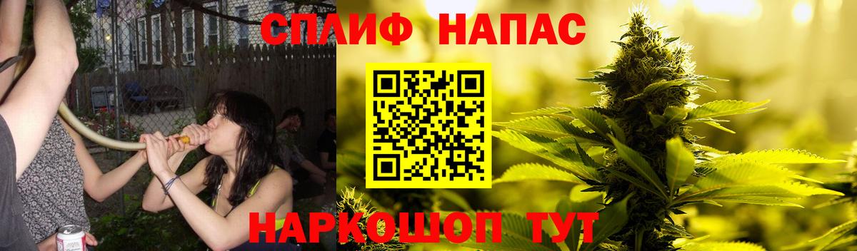 Марихуана сатива Елизово